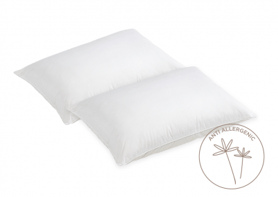 Evercomfy Anti-Allergy Pillows (Pair)