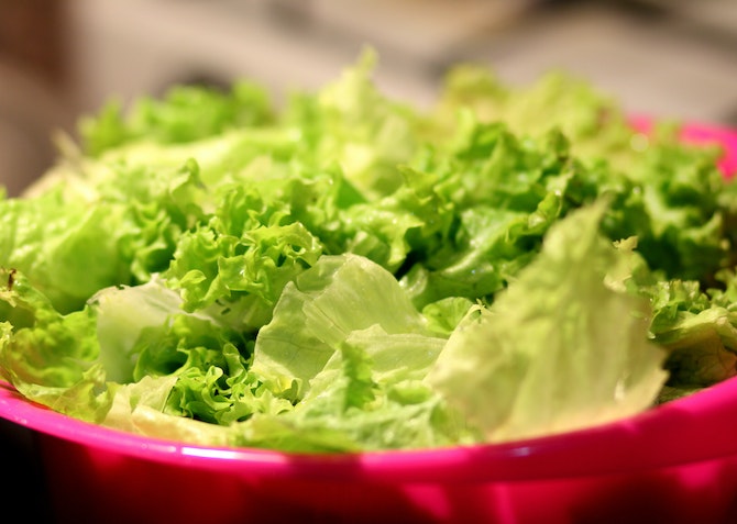 fresh lettuce